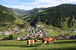 Foto 1 zur Tour: Rundwanderung Ellmautal-Almensteig von Alm zu Alm