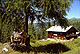 Foto 4 zur Tour: Rundwanderung Ellmautal-Almensteig von Alm zu Alm